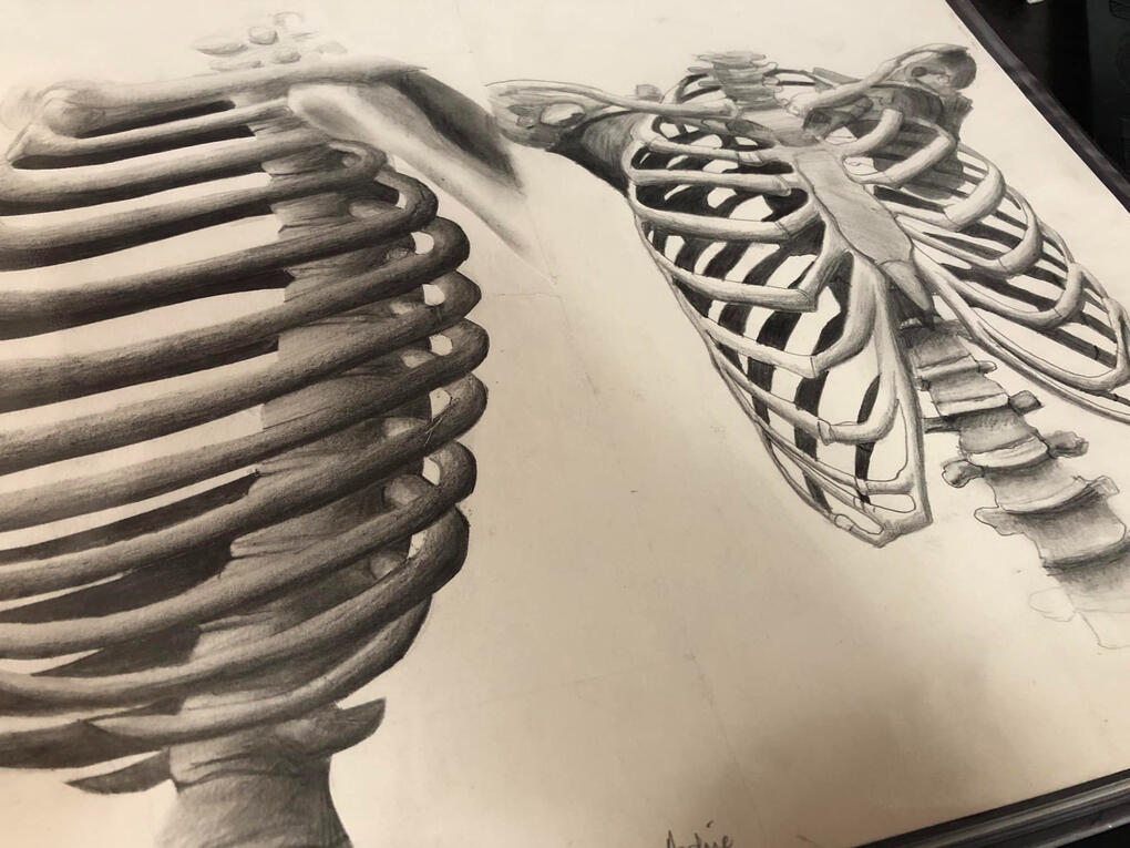 Learning to draw is one of the most challenging things you will accomplish, but those who do persist with it, find great joy within.