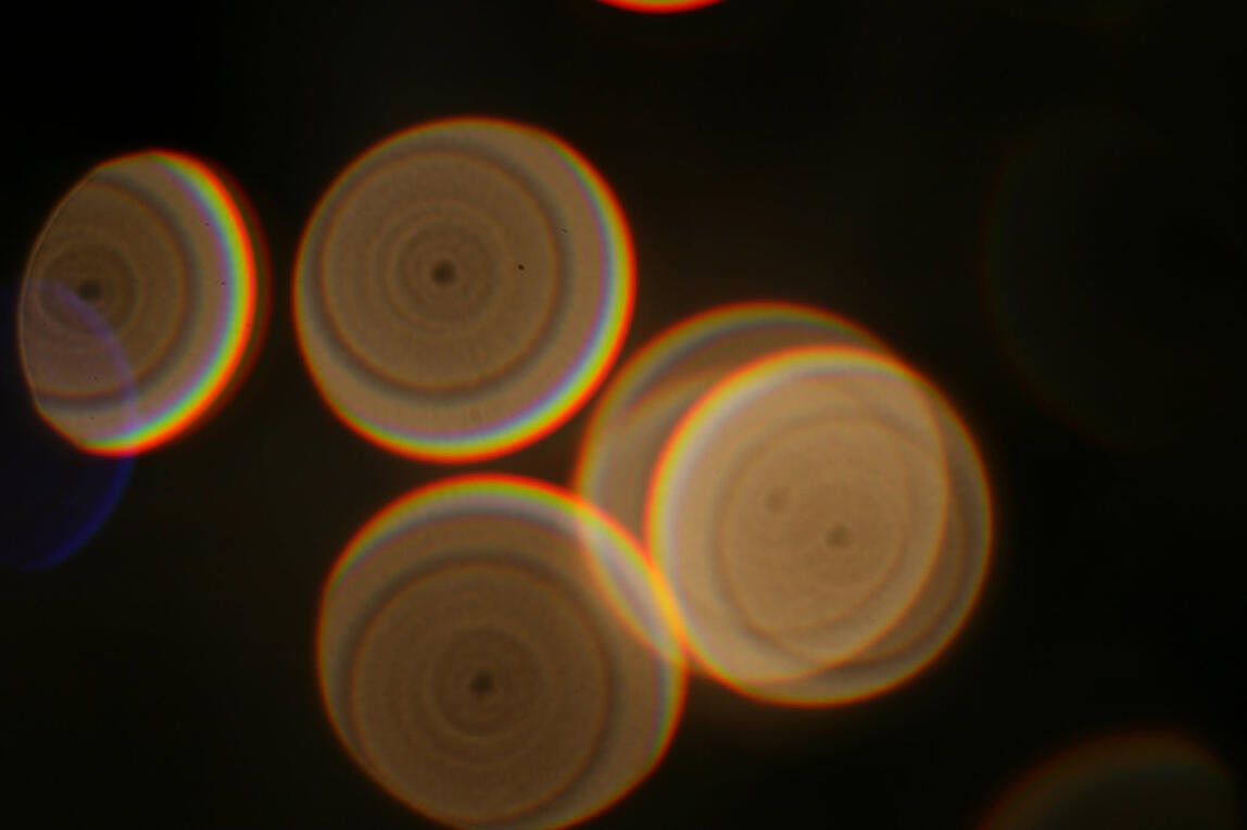 Step 3. Adding more or the size of the lens when you take pictures affects how the image will result.