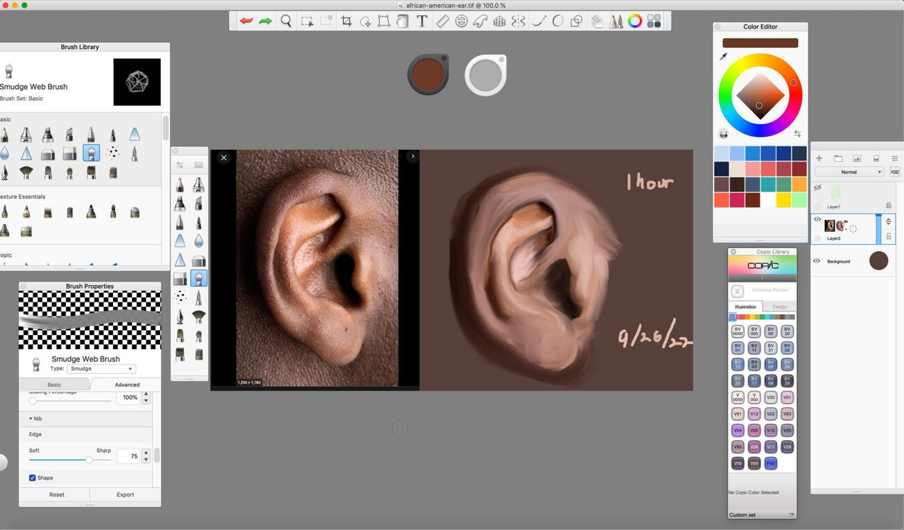 Ill teach you about mixing colors together in digital painting software.